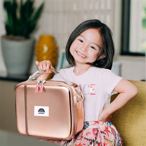 rose metallic lunch box|rose lunch box.